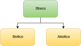 Stress in fisiologia